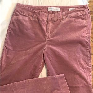 Velvet rose ankle length pant